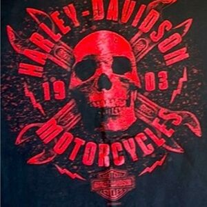 Harley Davidson T-shirt- Wytheville, VA